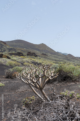 Ruta de los volcanes en la isla de La Palma, Islas Canarias, España