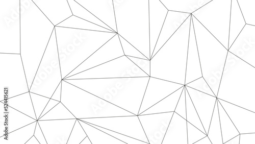 Polygon lines background template. Network low poly linked global graphic vector.