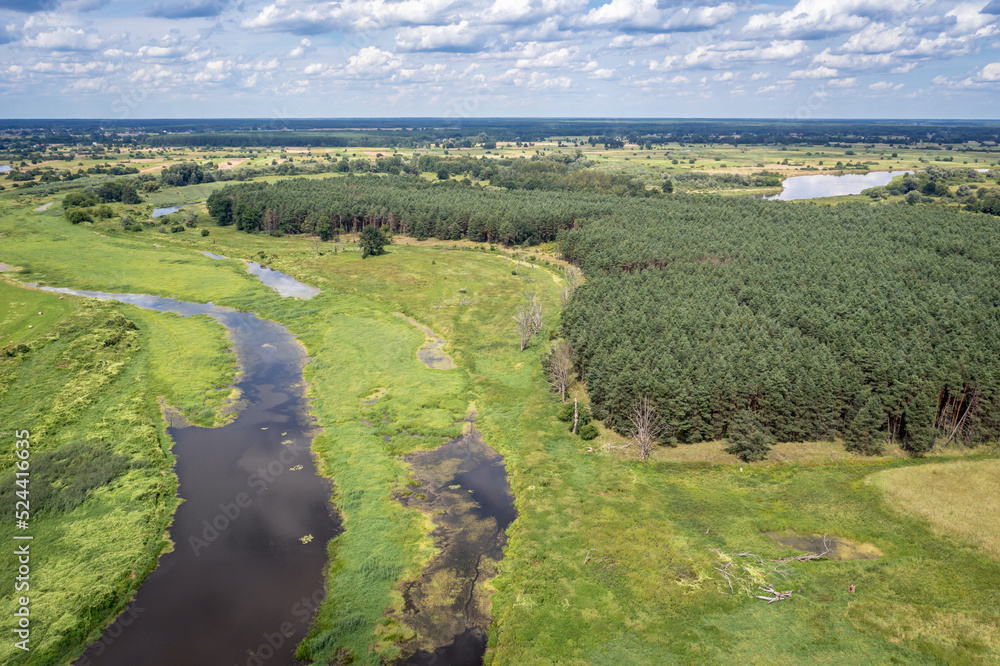 Landscape and River Bug near Szumin village, Mazowsze region, Poland