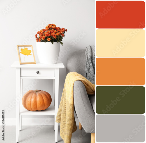 Pot with beautiful Chrysant...