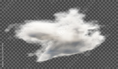 Vector illustration. Fluffy cloud or haze on a transparent background. Weather phenomenon.