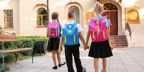 Cute pupils going to school
