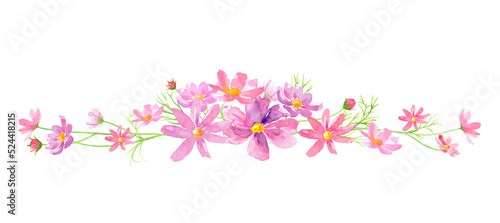 コスモスの花の装飾ラインフレーム。水彩イラスト （透過背景） © Keiko Takamatsu