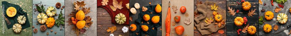 Autumn collage with many pumpkins - obrazy, fototapety, plakaty 