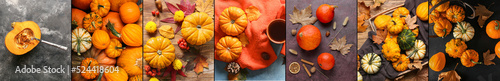 Autumn collage with many ripe pumpkins, top view