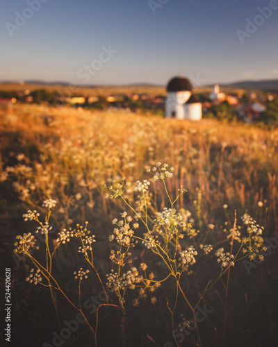 Medieval Rotunda temple in ...