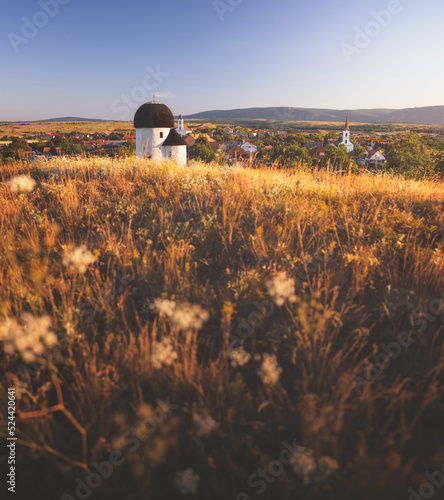 Medieval Rotunda temple in ...