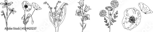 Luxury botanical background with trendy wildflowers and minimalist flowers for wall decoration or wedding. 