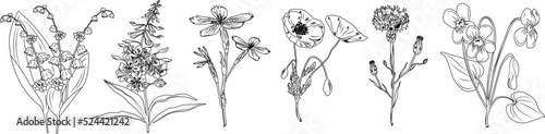 Luxury botanical background with trendy wildflowers and minimalist flowers for wall decoration or wedding. 