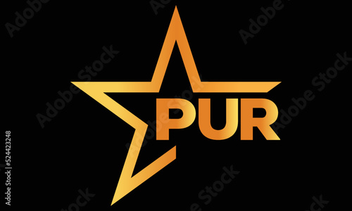 PUR golden luxury star icon three letter logo design vector template. royal logo | luxury logo | jewelry logo | premium logo | iconic logo | Victoria logo |	