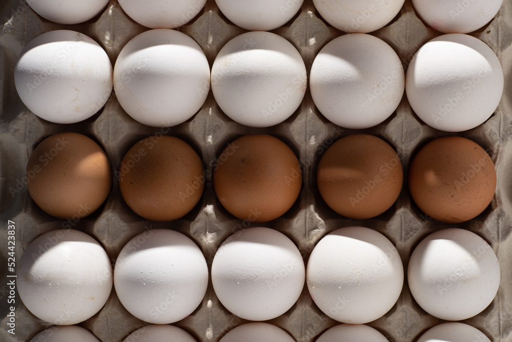 Egg background. White and brown eggs in a paper box tray. Protein food. Eco organic. Minimalism concept. Egg background. White and brown eggs in a paper box tray. Protein food. Eco organic. Minimalism concept.