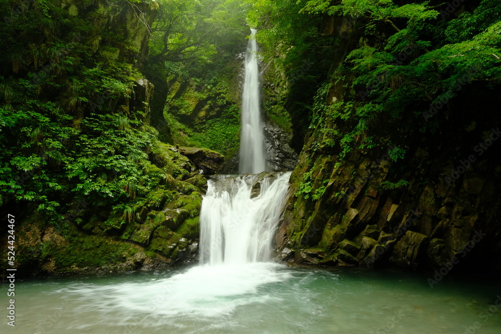 Fototapeta premium waterfall in the forest