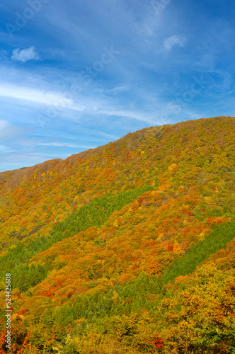 山の紅葉-１