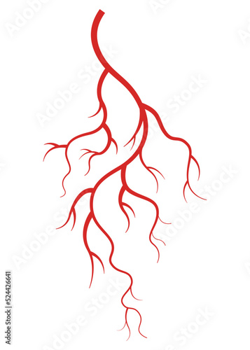 Human veins. Red silhouette vessel, arteries or capillaries on white background. Concept anatomy element for medical science. Vector isolated symbol of blood system