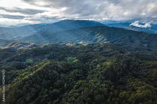 landscape view on high green hill