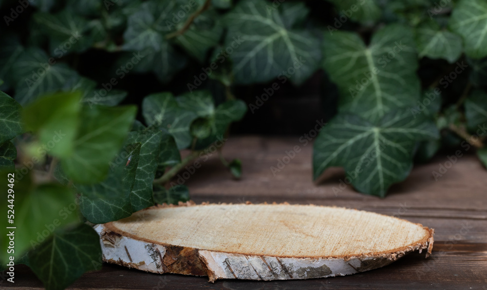 wood slice podium and dark green leaves background for cosmetic product mockup wood slice podium and dark green leaves background for cosmetic product mockup