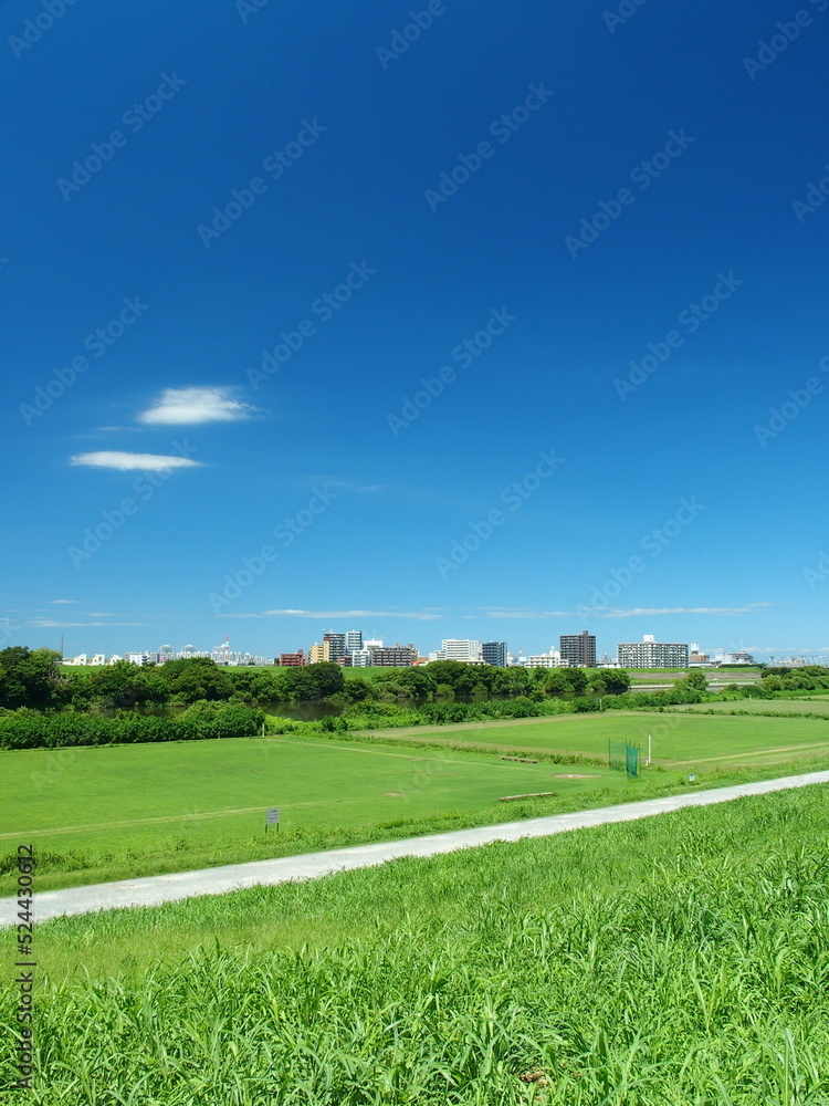 江戸川土手から見る誰もいない猛暑日の野球場のある江戸川河川敷風景 江戸川土手から見る誰もいない猛暑日の野球場のある江戸川河川敷風景