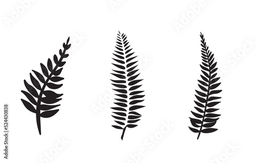 set of fern elements for decoration