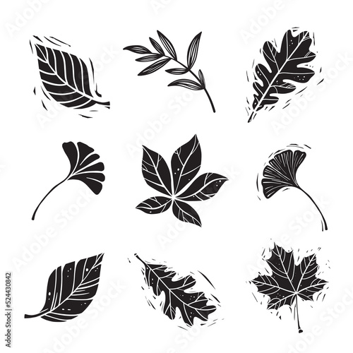 set of linocut styled leaves with shabby elements