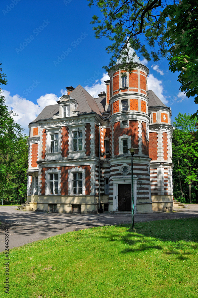 Obraz premium Eclectic palace of the Kronenbergs in village Brzezie, Kuyavian-Pomeranian Voivodeship, Poland. The palace in Brzezie was built for Leopold Kronenberg in 1873.