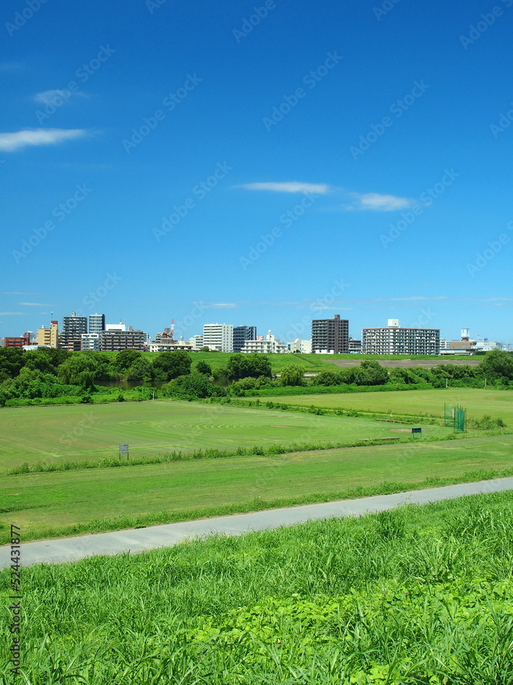 江戸川土手から見る誰もいない猛暑日の野球場のある江戸川河川敷風景