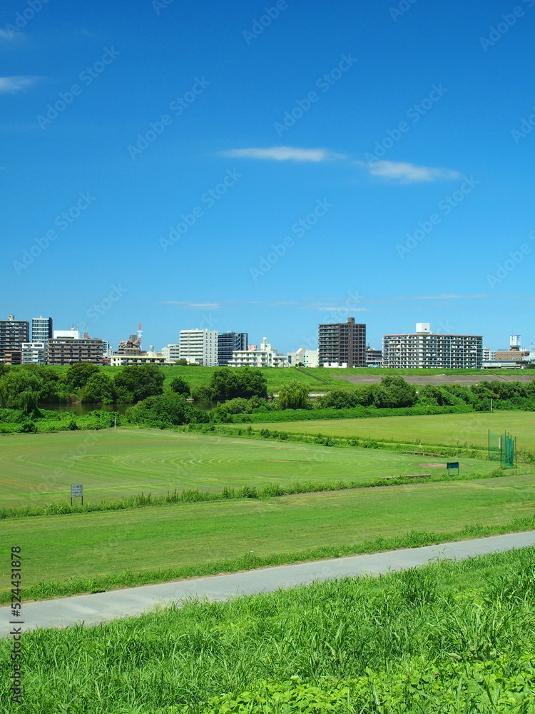Obraz premium 江戸川土手から見る誰もいない猛暑日の野球場のある江戸川河川敷風景