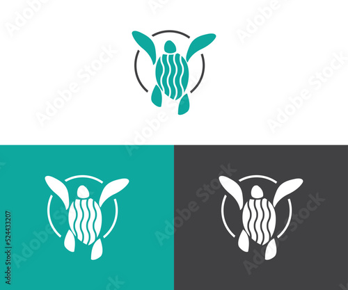 turtle logo design