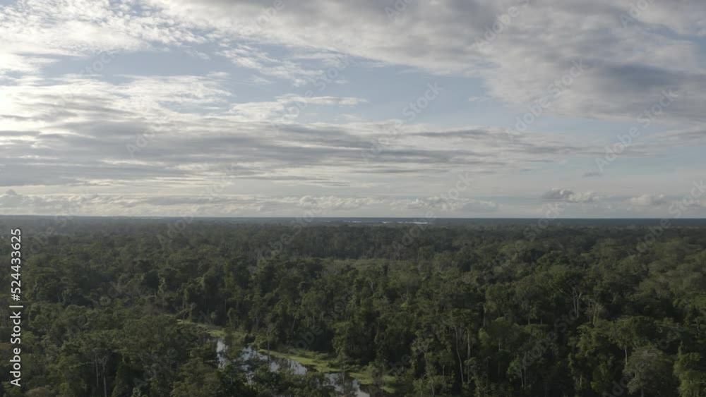 4k Aerial shot for amazon river and the rain forest. shot on MAVIC 2 PRO hasselblad rendered prores 422HQ D-log 4k Aerial shot for amazon river and the rain forest. shot on MAVIC 2 PRO hasselblad rendered prores 422HQ D-log