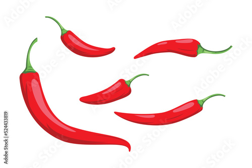 chili template vector illustration isolated on white background