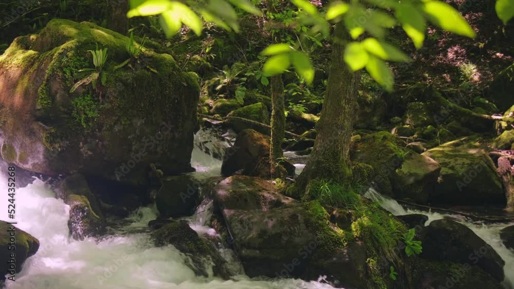 A wild mountain river A wild mountain river