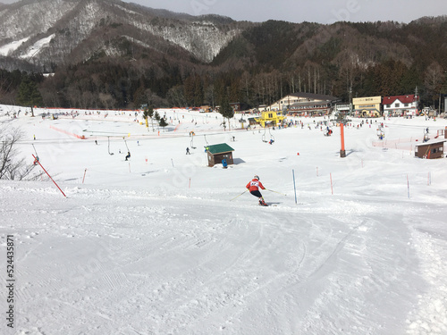 スキー競技 スラロームコース フラッグ