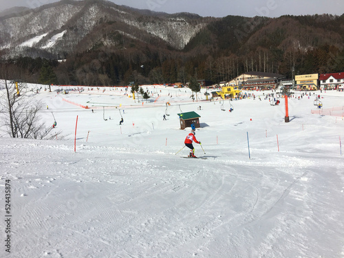 スキー競技 スラロームコース フラッグ
