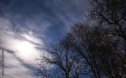 Moonlight in the dark in winter © Milla Rasila
