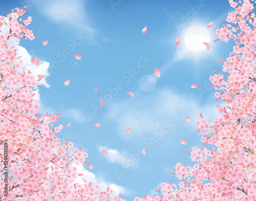 美しい桜の花びら舞い散る春の爽やか青空に光差し込むフレーム背景ベクター素材イラスト