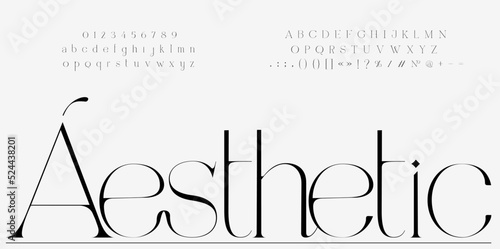 Aesthetic font Set. Lowercase and Uppercase included. Signs and nimerals. Elegant logo and fashion alphabet.	