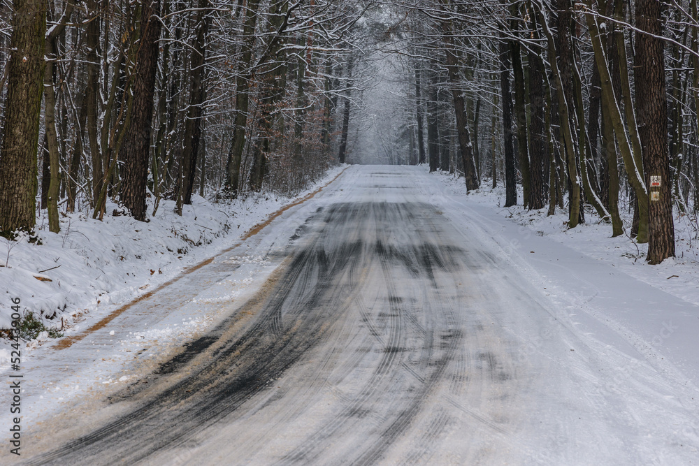 Side road covered during winter in Rogow, Lodz Province of Poland Side road covered during winter in Rogow, Lodz Province of Poland