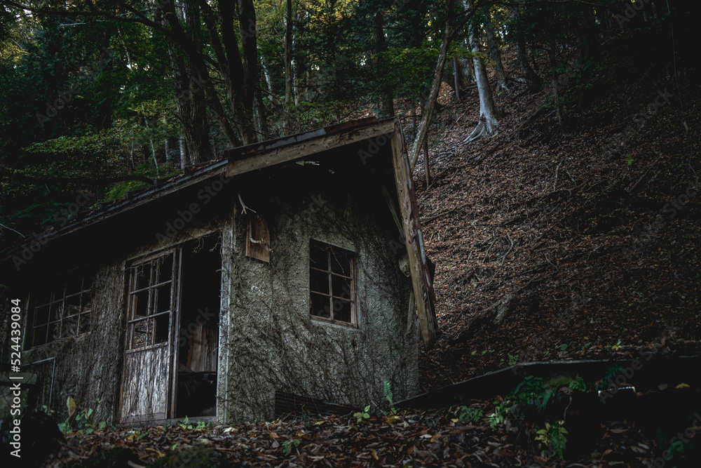 森の中にひっそりと佇む廃屋
Creepy abandoned house 森の中にひっそりと佇む廃屋
Creepy abandoned house