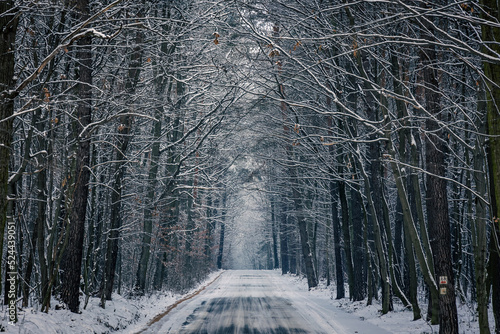 Side road covered during winter in Rogow, Lodz Province, Poland