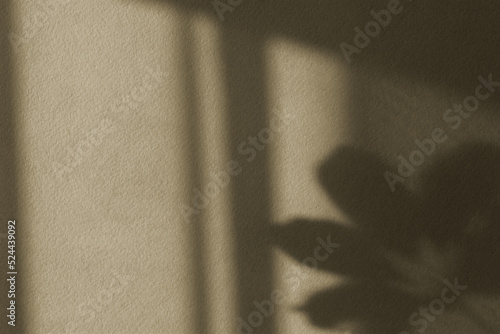 Shadows nature beige gray background. Neutral contrasting flower leaf design. Fashionable earthy decorative shades. Calm natural pastel design. The concept of the beauty of the earth. Copy space