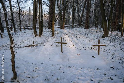 Wooden crosses on World War I cemetery Rogow, Lodz Province of Poland