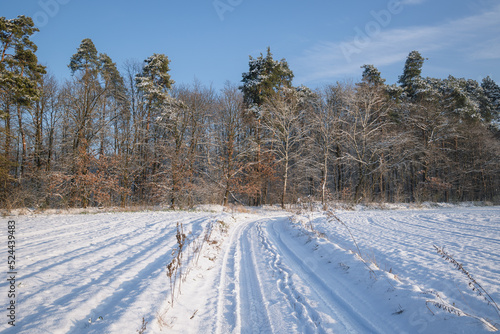 Field road during winter in Rogow village, Lodz Province of Poland
