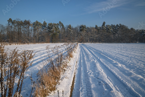 Field road covered with snow during winter in Rogow village, Lodz Province of Poland