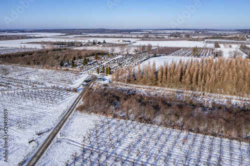 Drone photo of apple orchards during winter in Rogow village, Lodz Province of Poland