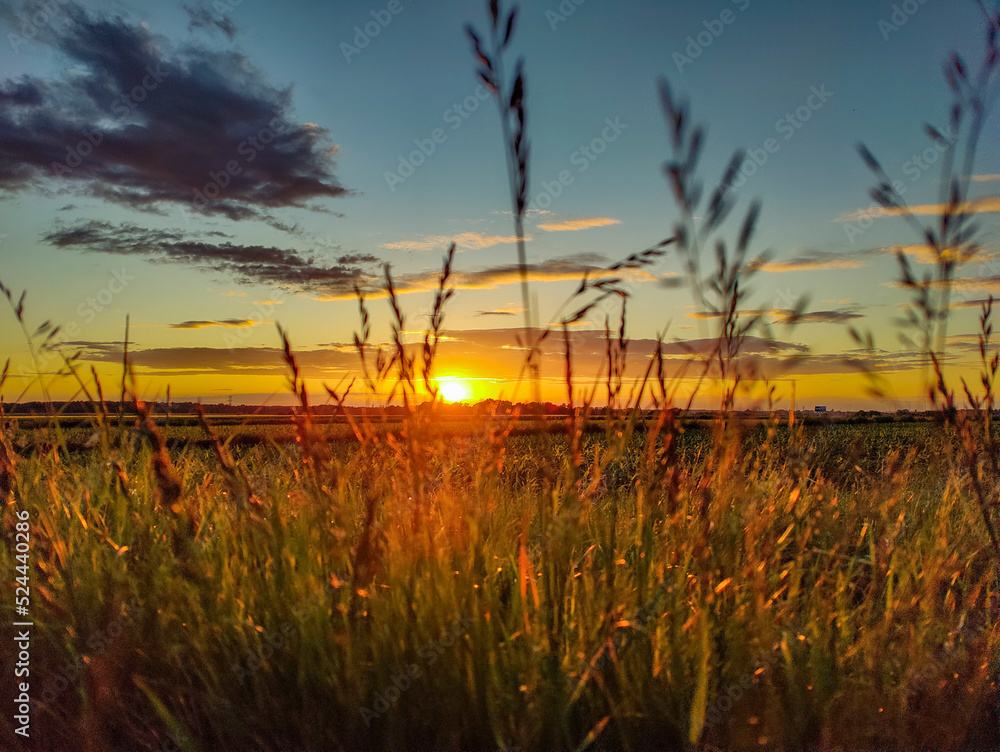 Fototapeta premium Gliwice - Zachód Słońca