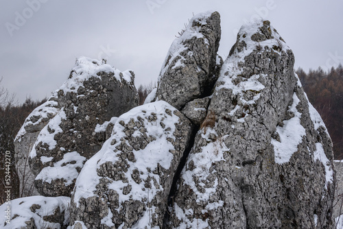 Limestone rocks near Ogrodzieniec castle in Polish Jura region, Poland
