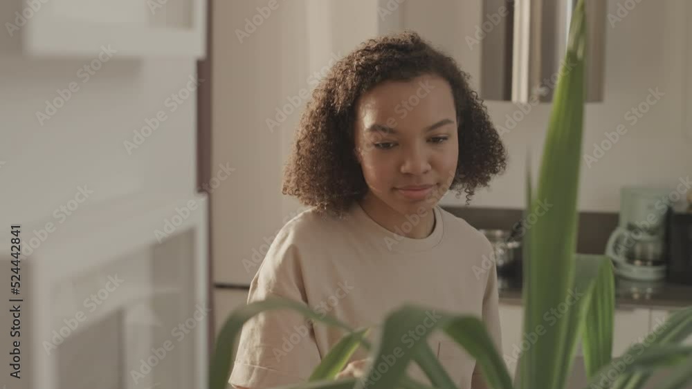 Waist up slowmo of smiling young Biracial woman spraying green leaves of home plants while doing housework in apartment Waist up slowmo of smiling young Biracial woman spraying green leaves of home plants while doing housework in apartment