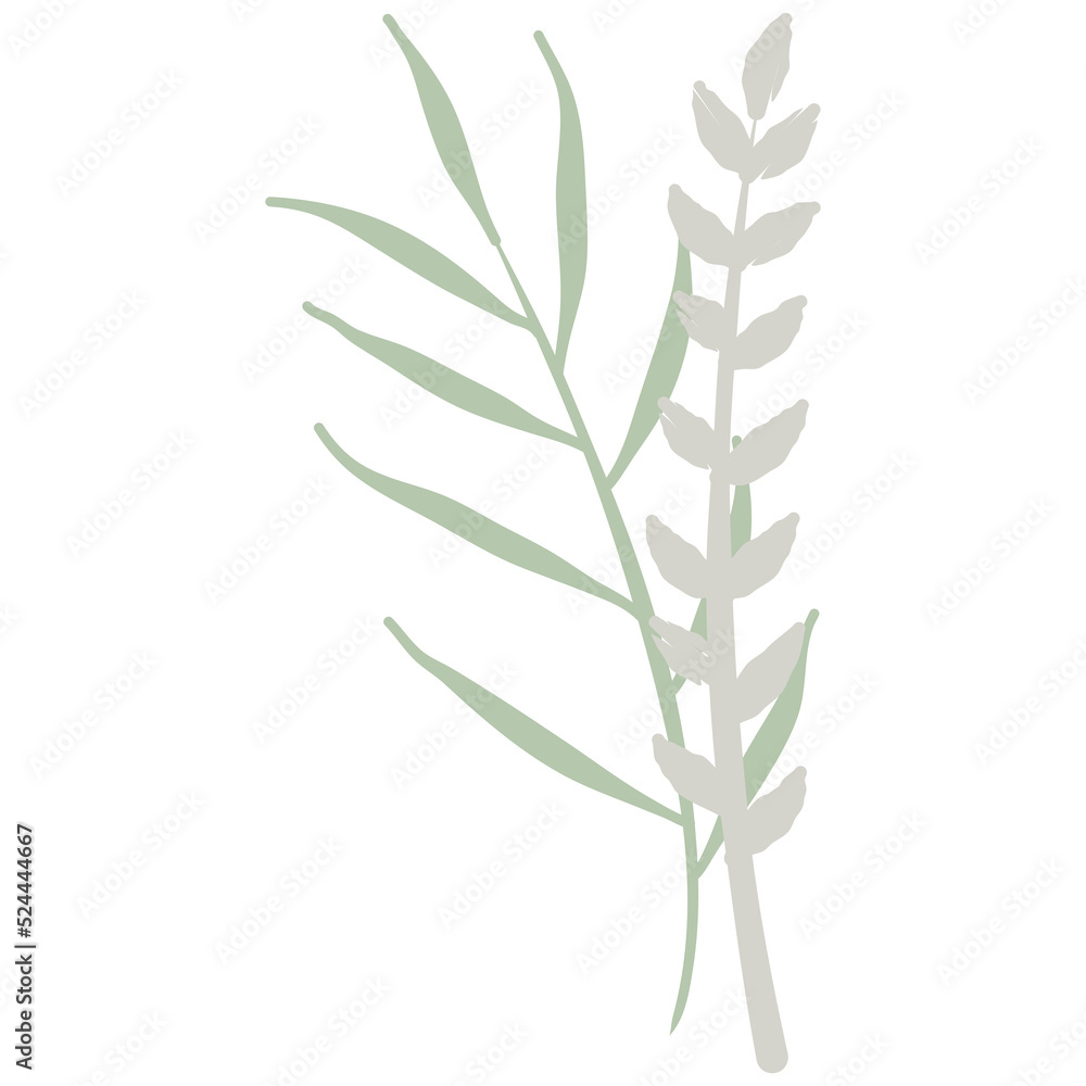 Obraz premium Aesthetic wreath green leaf nature