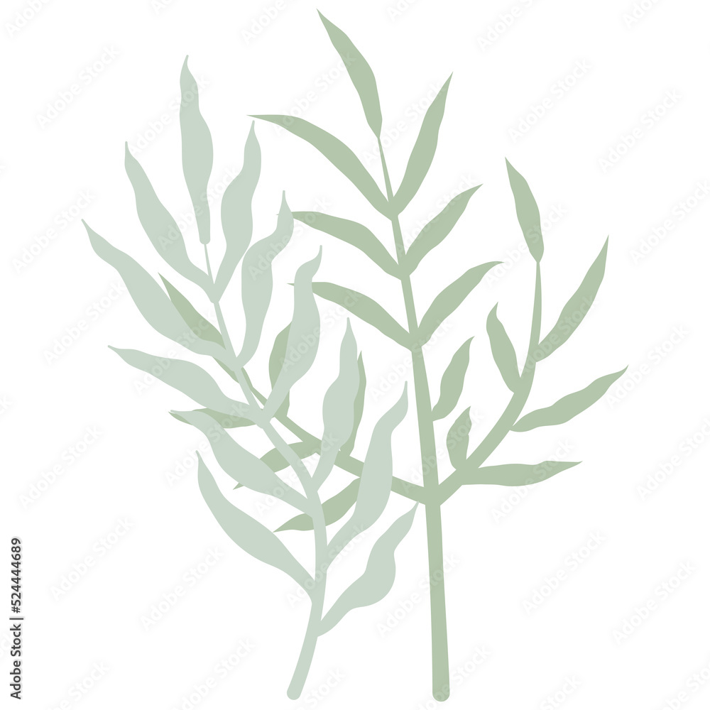 Aesthetic wreath green leaf nature