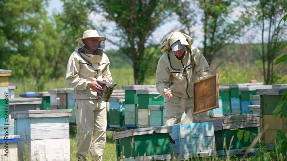 Two beekeepers working on the rural apiary. Men opening the hives using metal tools and a smoker. Sunny day backdrop in blur. Two beekeepers working on the rural apiary. Men opening the hives using metal tools and a smoker. Sunny day backdrop in blur.