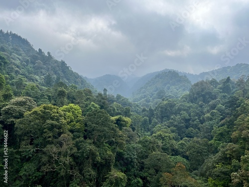 Suspension Bridges and Waterfall 